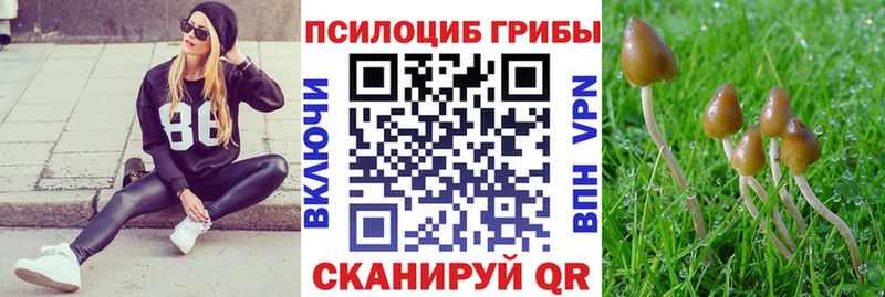 МЕГА ссылка  купить   Полярные Зори  Галлюциногенные грибы Cubensis 